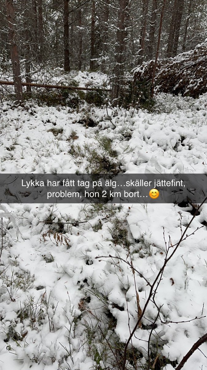 Michael Sjödin (@mickesjdin) on Twitter photo 