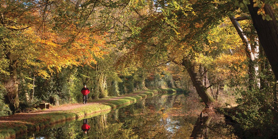 Golden leaves and reflections 😍 Autumn is such a special time along the waterway network, and we are lucky to live in a world with such beauty 🍂 Have a happy weekend folks. 📍 #Monmouthshire &amp; #Brecon Canal #FridayFeeling #KeepCanalsAlive