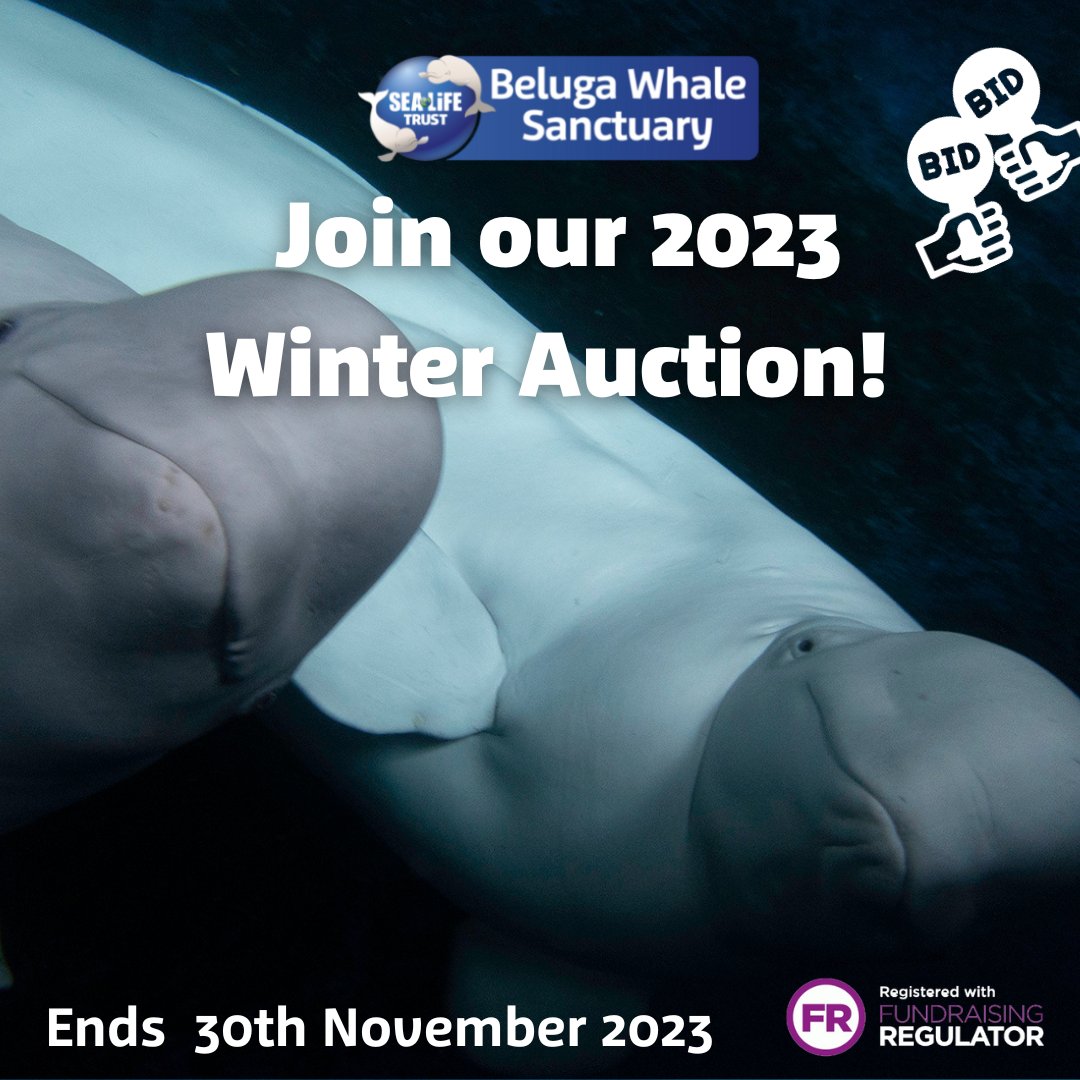 Our Winter Auction is now live! Bid now for the chance to land some incredible gifts for your loved ones (or yourself) this Christmas 🎄

This auctions runs until 30th November, so bid now before it's too late: bit.ly/40ppRFh