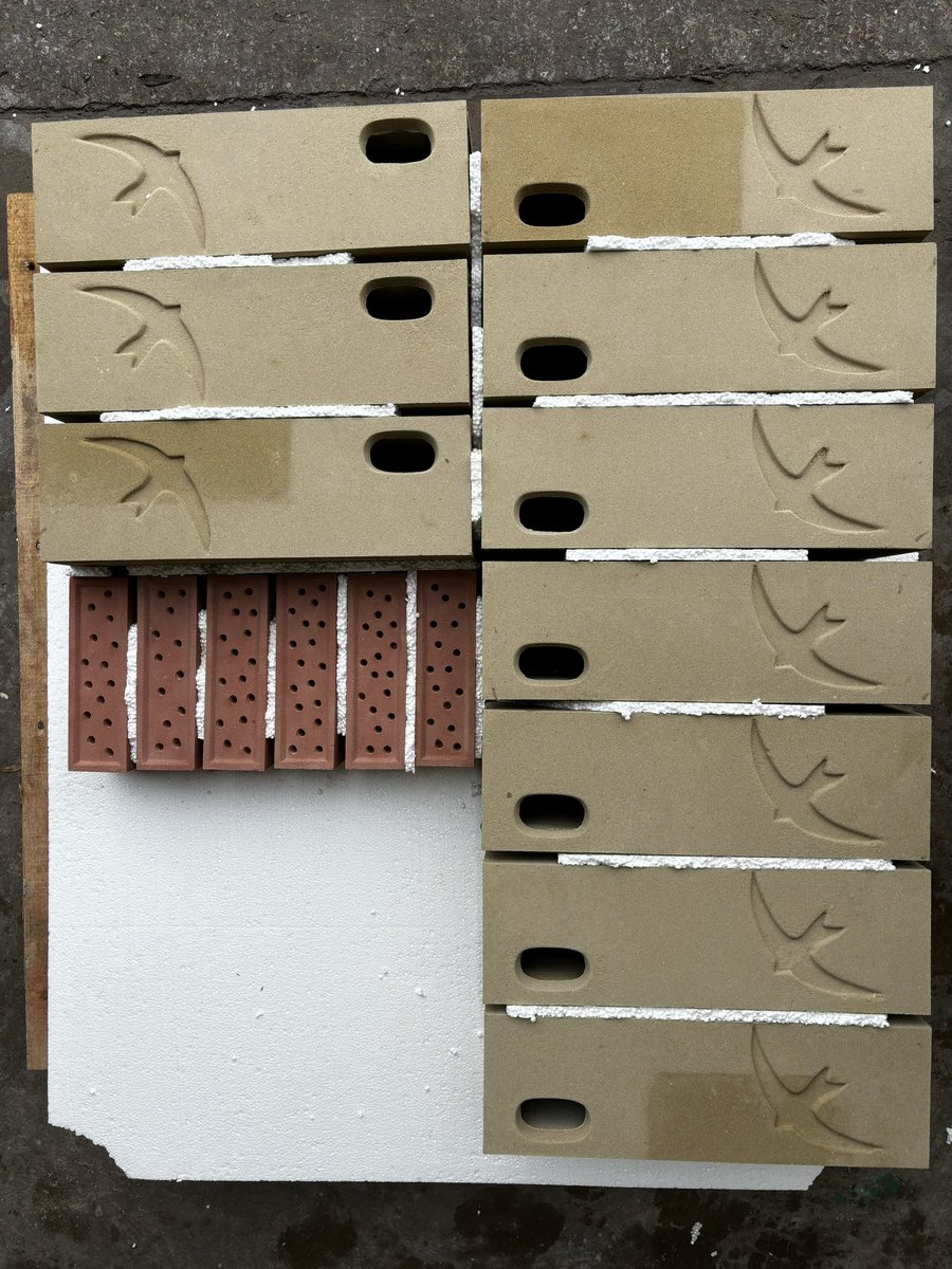 Dave Chapman tweet media