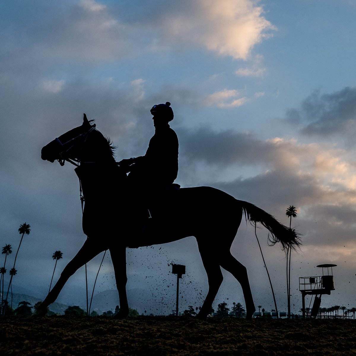 AV Fair & Event Center tweet media