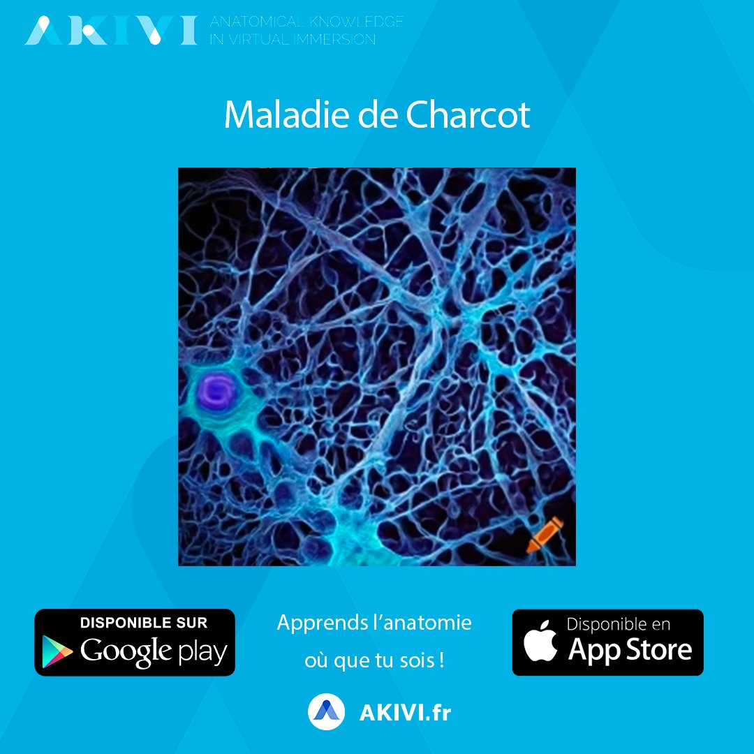 Actuellement sur nos comptes Facebook et Instagram ! La maladie de Charcot disséquée 👉 par les anatomistes d'AKIVI (#étudiant / #santé / #médecine) ! 👀👋