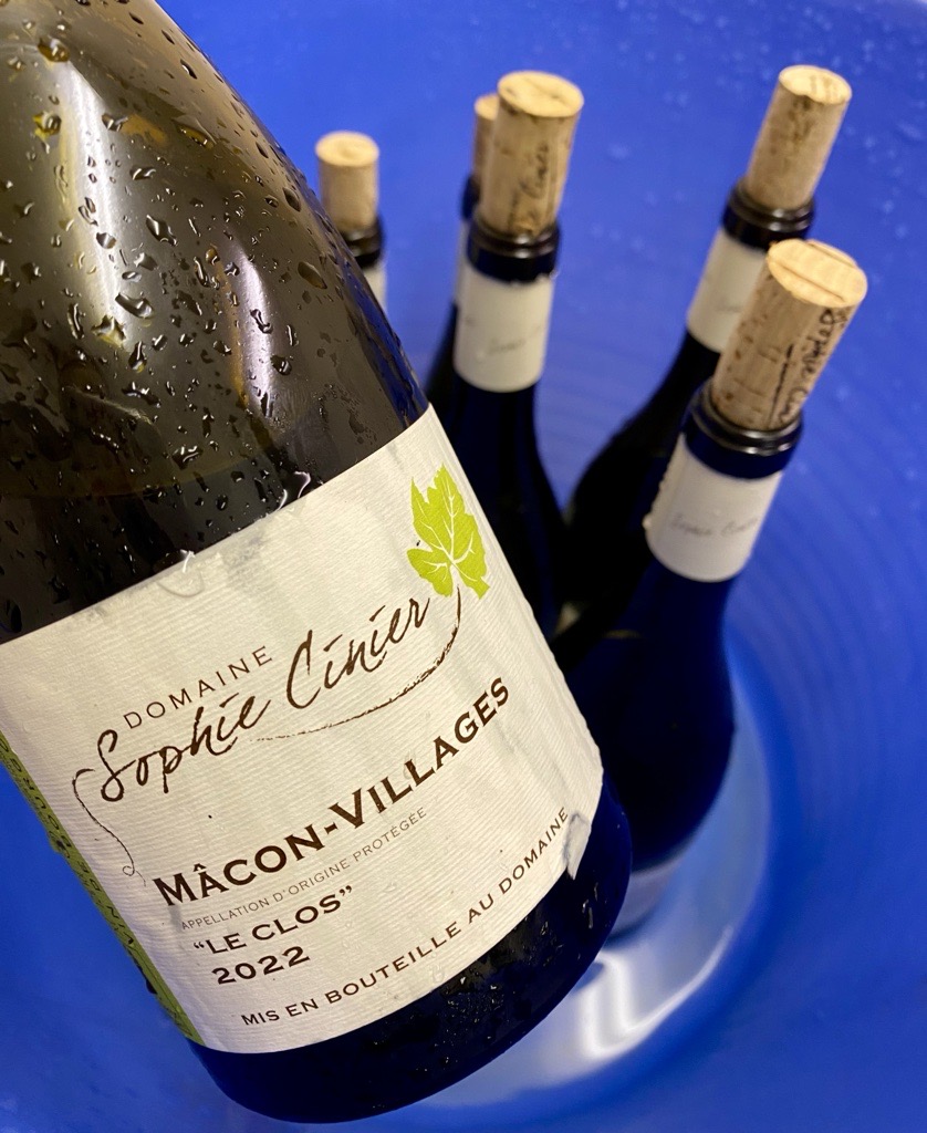 We’re ending the week at #clarkfoysterwines with an office tasting of Sophie Cinier's 2022 vintage! The wines are showing brilliantly already and team are busy deciding on their favourites.

#finewine #burgundy #chardonnay #whitewine