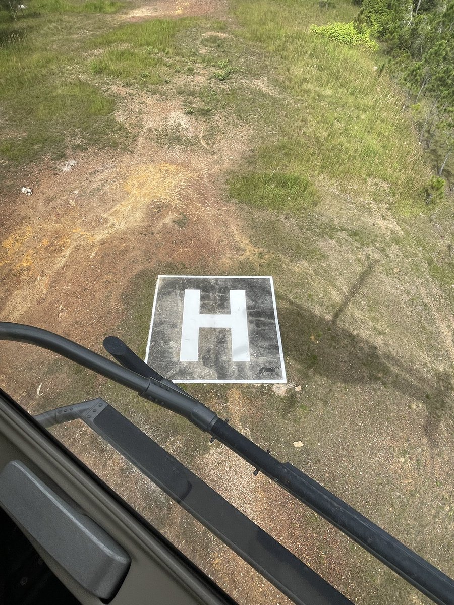 20 Wks Gp RE tweet media