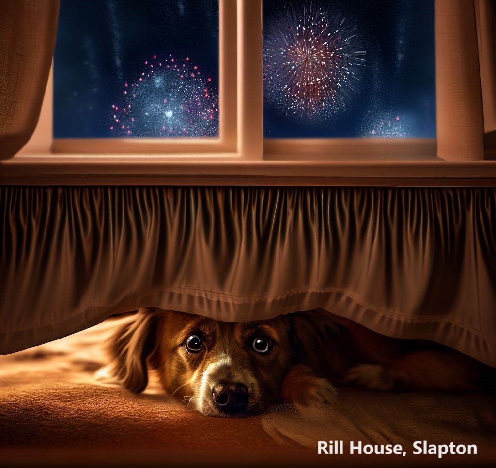 I feel for all the animals out there for whom fireworks are completely terrifying.
#FireworksAreScaryForAnimals #BeKindToAnimals #SayNoToFireworks
Thank you <a href="/sainsburys/">Sainsbury's</a> for not selling them!