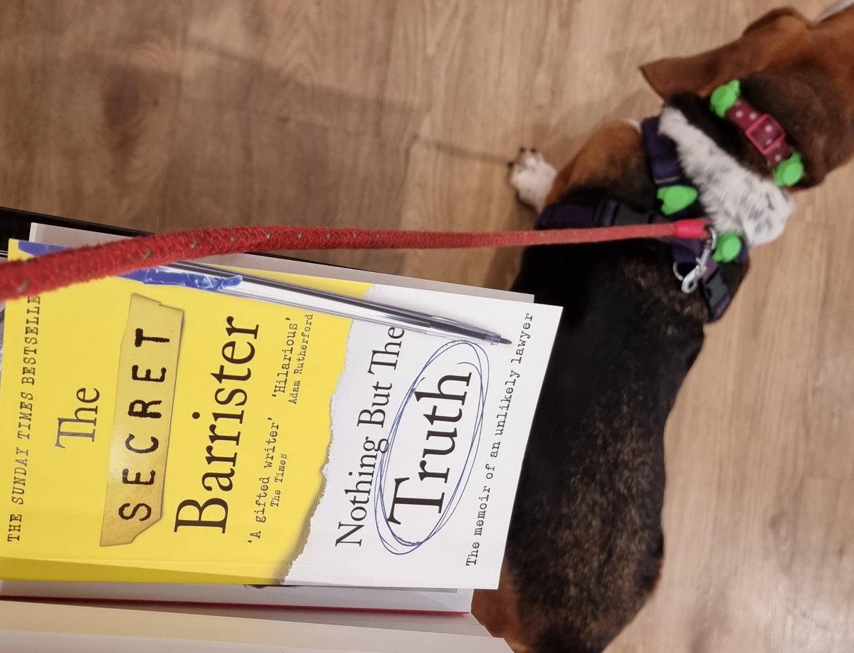 JTCHANGINGBIZ's tweet photo. Come on Potts, we're going Waterstones
#LetDogsIn
#DogsInShops @BarristerSecret https://t.co/GmymYuObQG
