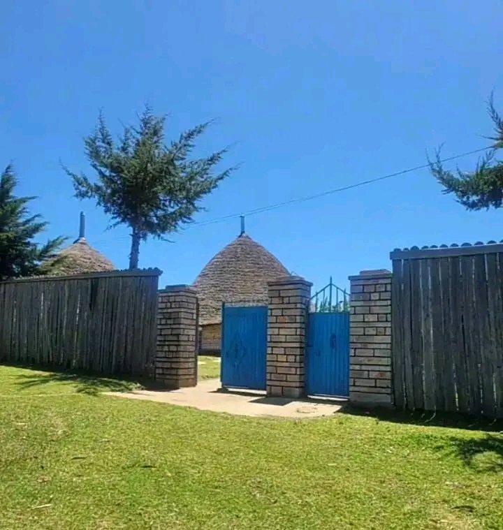በነገራችን ላይ #የጉራጌ #ማህበረሰብ ባይማርም እንኳ #መሀንዲስ ነው።
#Love to ጉራጌ❤