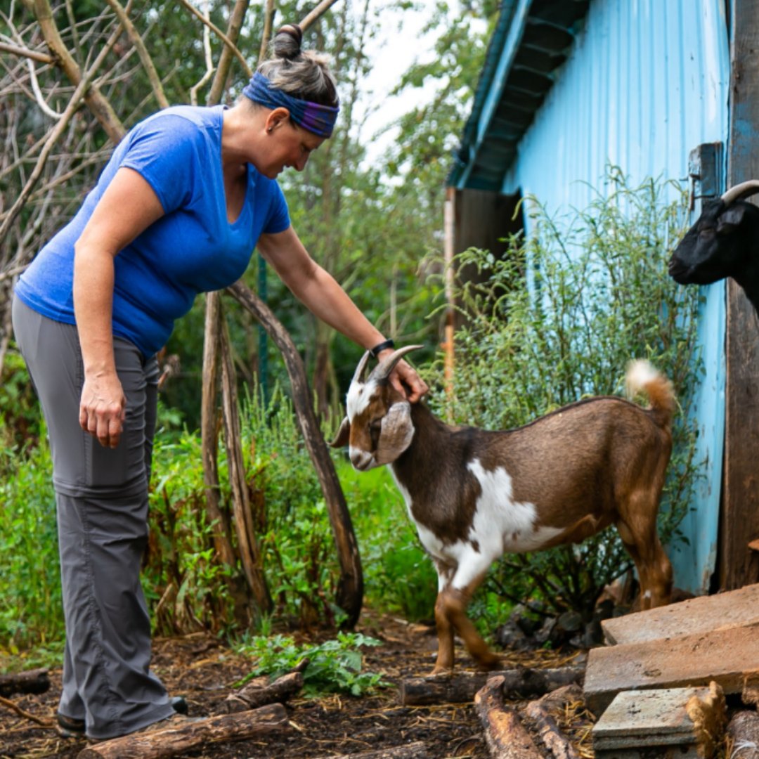 NC Farm School tweet media