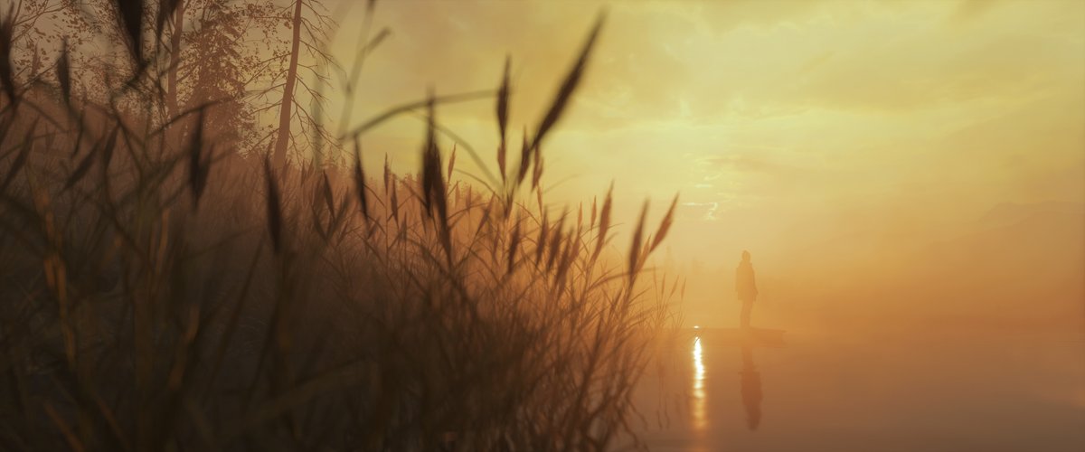 Berduu's tweet image. Alan Wake 2