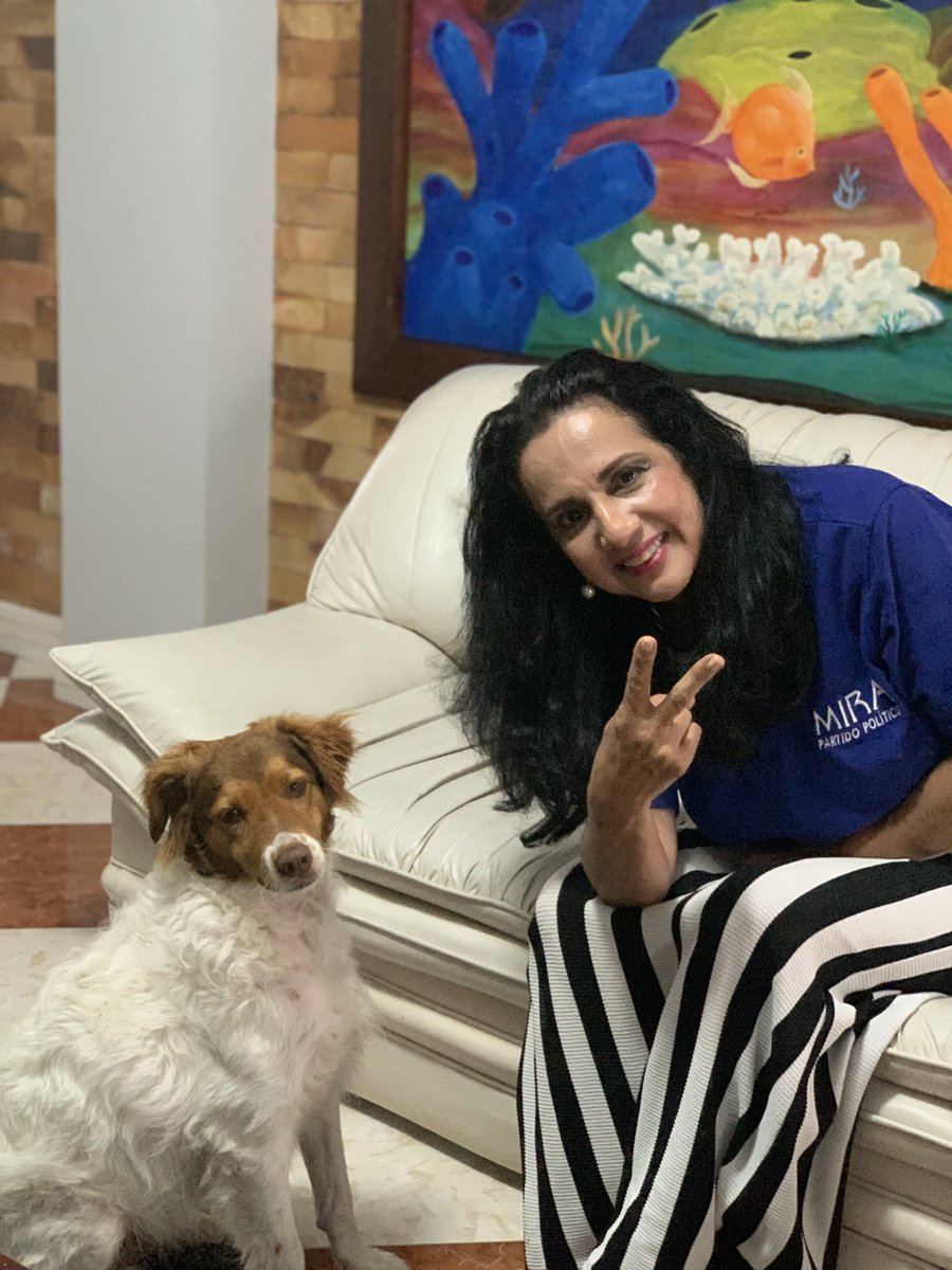 luzmatejadac's tweet photo. Hoy quiero presentarles a mi otro perrito 🐶, su nombre es Bruno y también, mi querido gatito Celestino 🐈. Los animales llenan nuestras vidas de alegrías y ternura 🤗

#filandia #quindio #petfriendly #doglover #catlover #perro #gato #mascotas https://t.co/4QJS5jGtmr