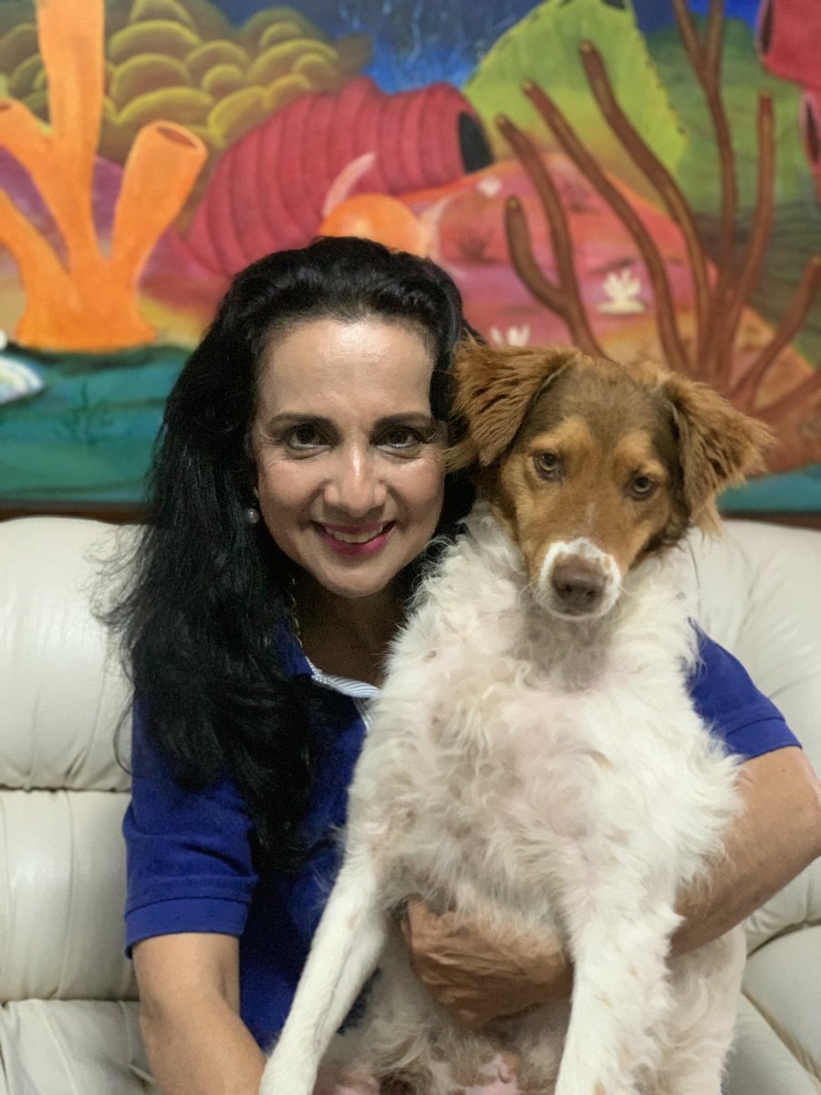luzmatejadac's tweet photo. Hoy quiero presentarles a mi otro perrito 🐶, su nombre es Bruno y también, mi querido gatito Celestino 🐈. Los animales llenan nuestras vidas de alegrías y ternura 🤗

#filandia #quindio #petfriendly #doglover #catlover #perro #gato #mascotas https://t.co/4QJS5jGtmr