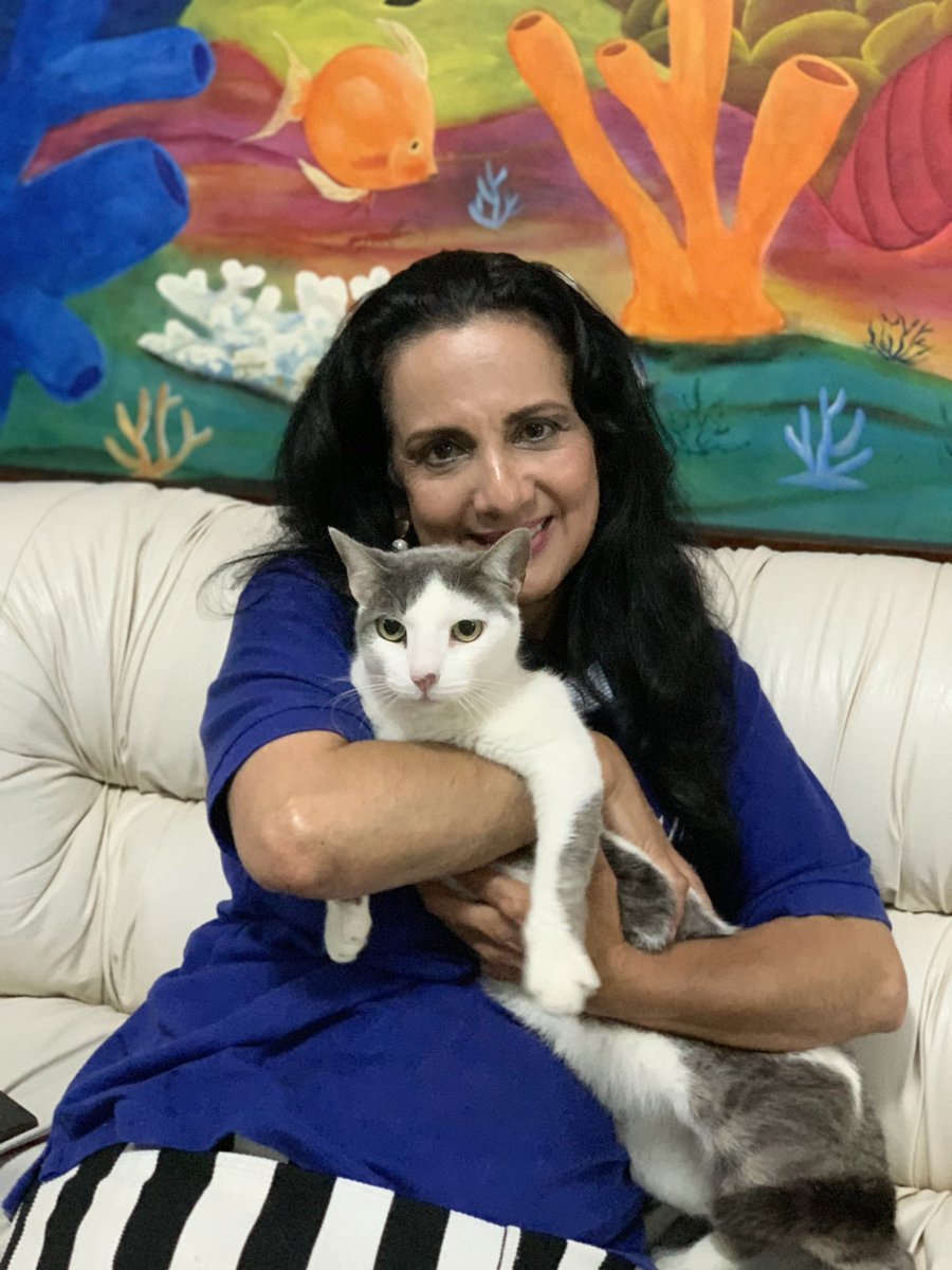 luzmatejadac's tweet photo. Hoy quiero presentarles a mi otro perrito 🐶, su nombre es Bruno y también, mi querido gatito Celestino 🐈. Los animales llenan nuestras vidas de alegrías y ternura 🤗

#filandia #quindio #petfriendly #doglover #catlover #perro #gato #mascotas https://t.co/4QJS5jGtmr
