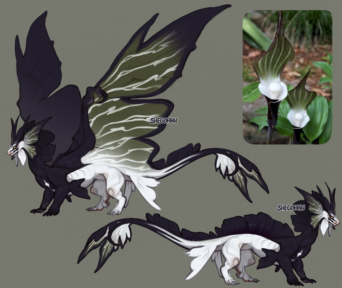 A dragon design inspired by a flower (already claimed)