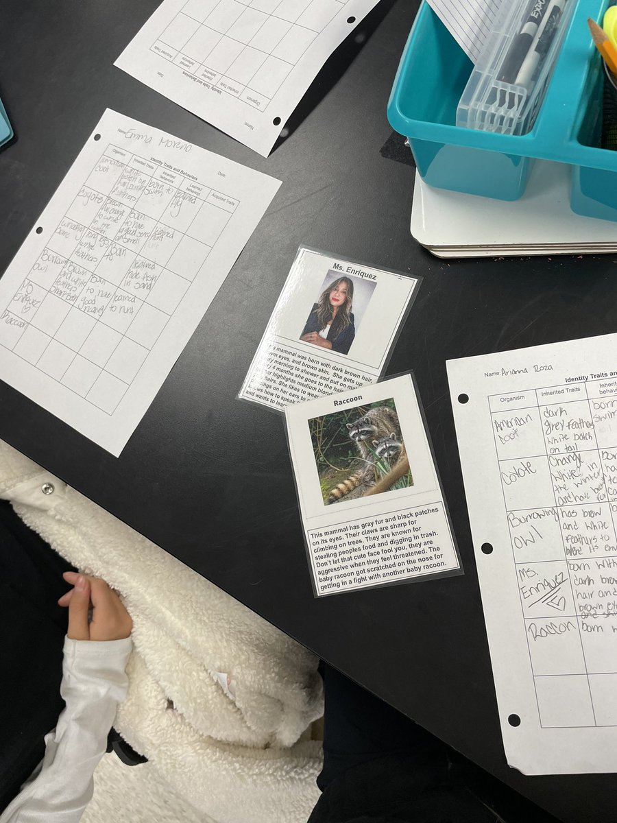 Identifying Inherited traits and behaviors, learned and acquired traits! Decided to surprise the kids by adding myself as one of the organisms 😝
@HISD_ElemSci <a href="/GallegosElem/">Gallegos Elem.</a>