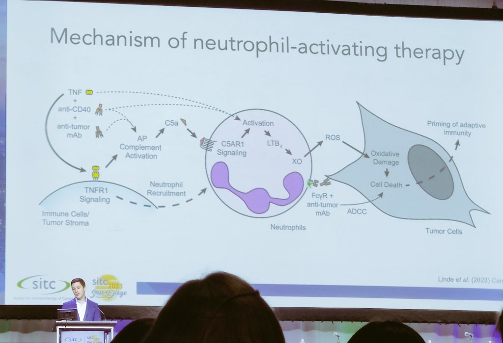 Ian Linde from #FredHutch gives a thought provoking talk on neutrophil mediated anti-tumor activity - independent of adaptive immune cells (T/B cells) - in a hall full of adaptive immunologists at #SITC23. Wonderful talk challenging some preconceived notions.