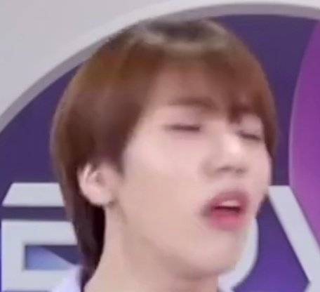 переехала! хaн бeлка ☻ tweet media