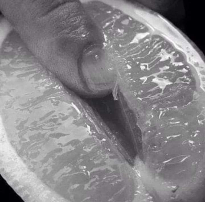 El deseo te hace temblar...

#UnaPlumaYUnDesvelo
#EroticoAquelarre
#LetrasConDeseos