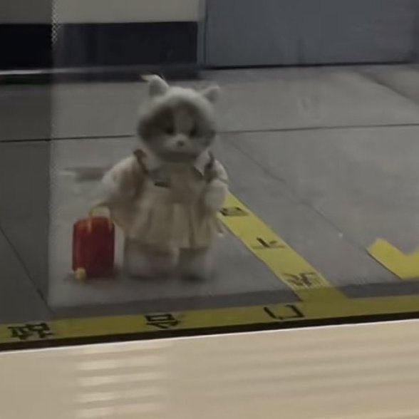 haksızlığı da koydum bavula
yalnızlığı da aldım yanıma