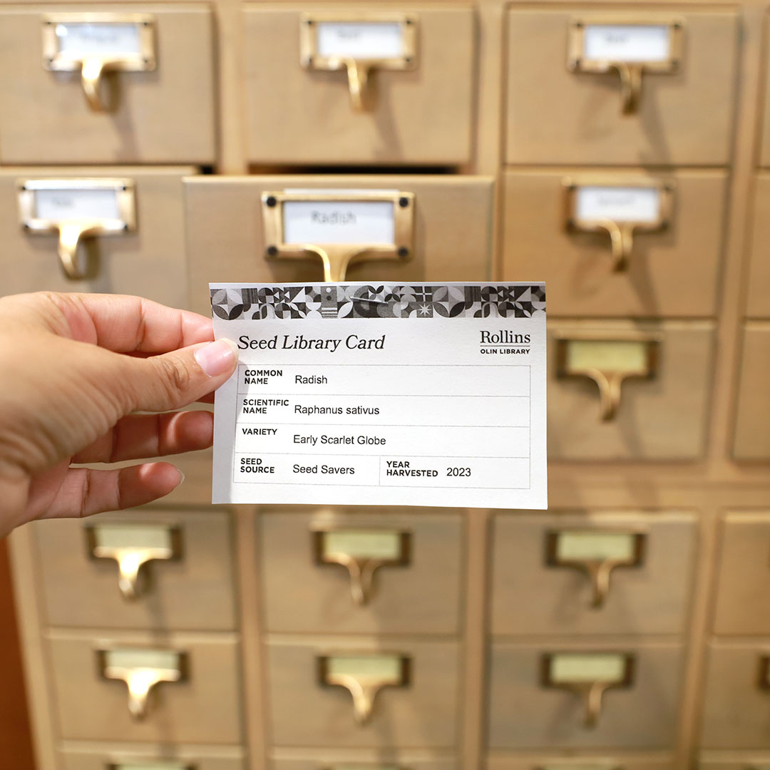 Take a seed &amp; watch it grow from our very own Seed Library!

Available for Rollins College affiliates only.