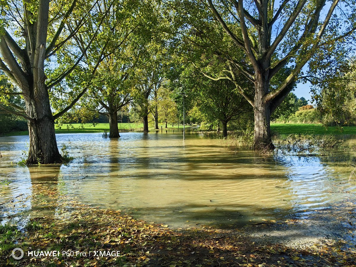 chelmsparkrun's tweet photo. 🚨 Event cancelled for tomorrow due to extensive flooding in Admirals Park.
We will be back next week.
@ActiveEssex @ChelmsCouncil https://t.co/C550EQsROv