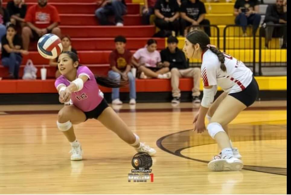 El Dorado Volleyball tweet media