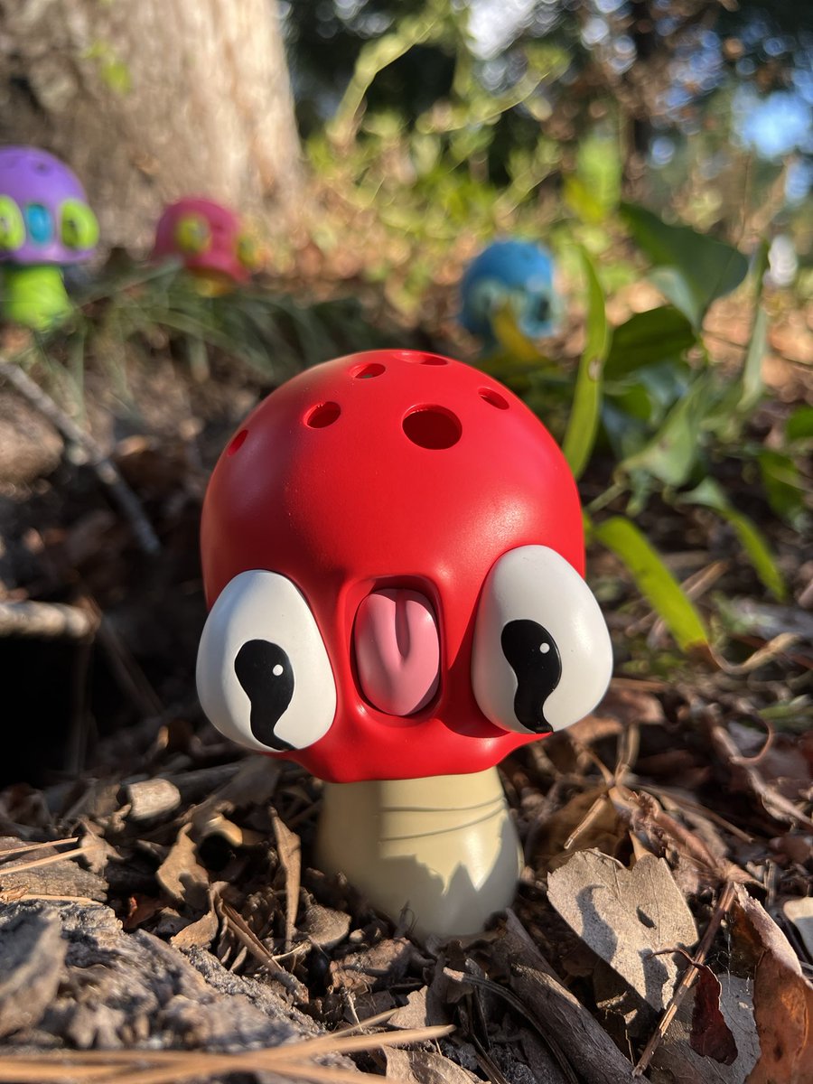 New Shroomy resins are finally available! Limited to 25 pieces. nickydavis.com/products/mushr…