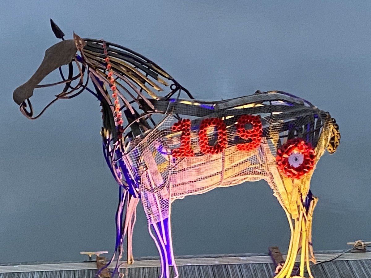 The #PortofWells Lifeboat horse, will symbolise a War Horse, during the lead up to Remembrance Day & for a period after. #NorthNorfolkCoast. 109 woollen poppies, representing one for every name on the #WellsNexttheSea war memorial.