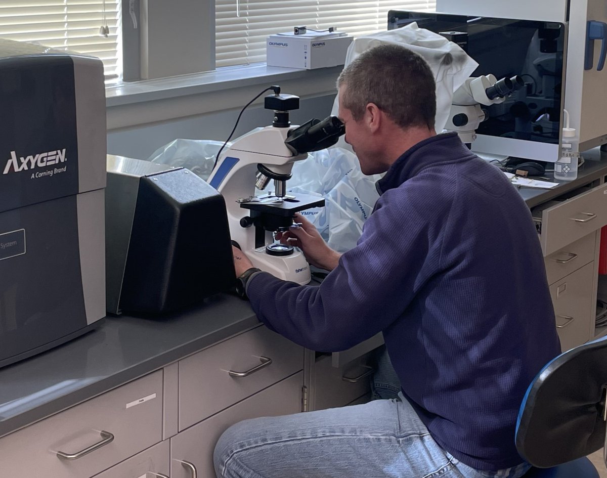 USDA_ARS's tweet image. ARS celebrated newly constructed Sam Farr United States Crop Improvement and Protection Research Center in Salinas, CA. The center features state-of-the-art labs &amp;amp; greenhouses &amp;amp; the capacity for additional scientists to work on fruit and vegetable research bit.ly/3sk149a