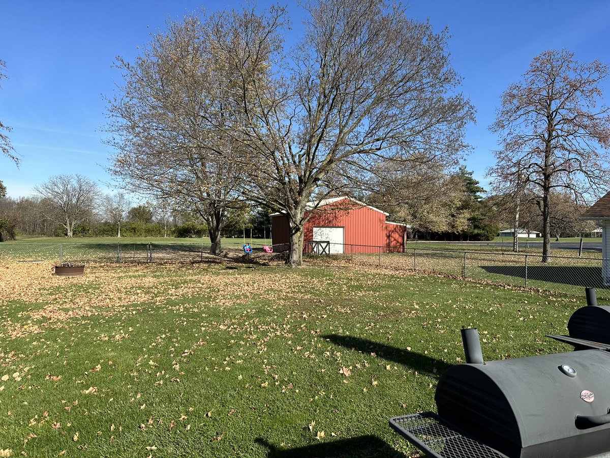 flyinthegs's tweet photo. Love the leaves on the ground when they have color but there’s something satisfyin’  to get out the and mulch em up! Mowin and listening to Garth! 
#FlyinTheGs https://t.co/tc98zFkvYo