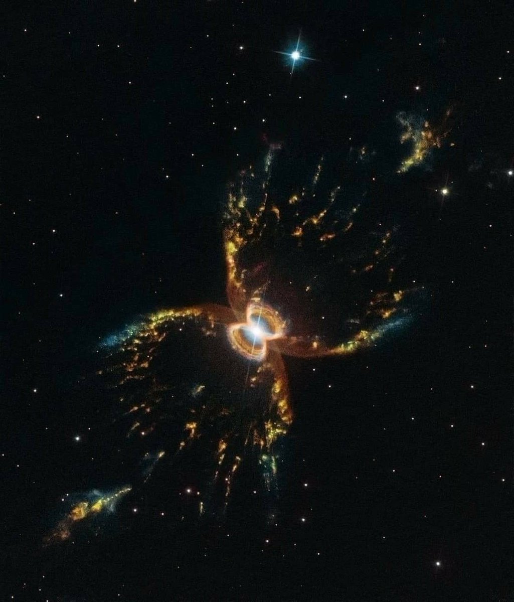 scienceworld224's tweet photo. The Hour-Glass Nebula captured by the Hubble Space 🔭. https://t.co/mvmHmdzgSe
