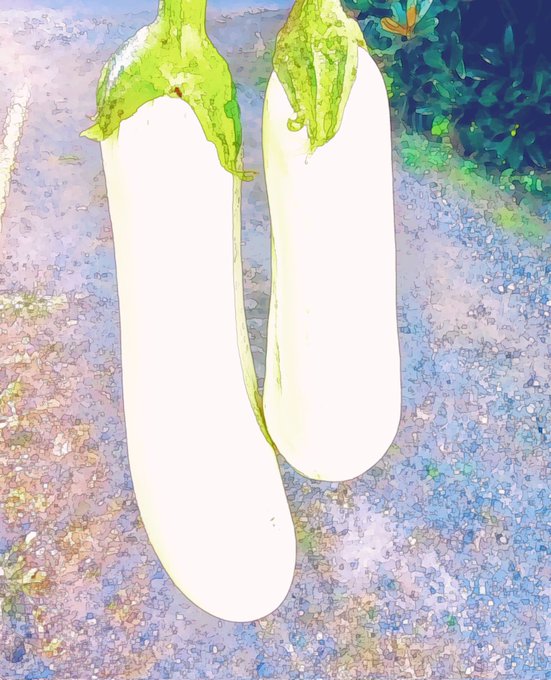 収穫時期過ぎて食べられなかった 