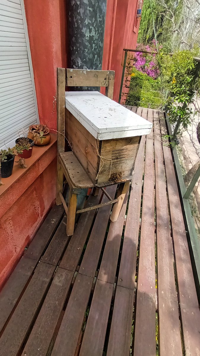 Damianbeccarq's tweet photo. Si ves abejas, no las mates x fav!, llamá a SADA o mandá acá y derivamos al grupo enorme de rescatistas. Cobramos mucho menos que el fumigador, y  Reubicamos! https://t.co/5zrrBqC3Nk