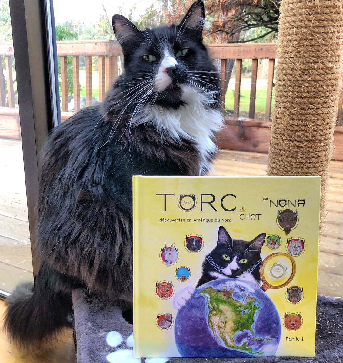 Have a great weekend! 

Did you know TORC’s first book was translated into 4 languages: French, Spanish, Japanese, and Romanian? 

#Caturday #adventurebook #animalbook #smileswithtorc #bookseries
