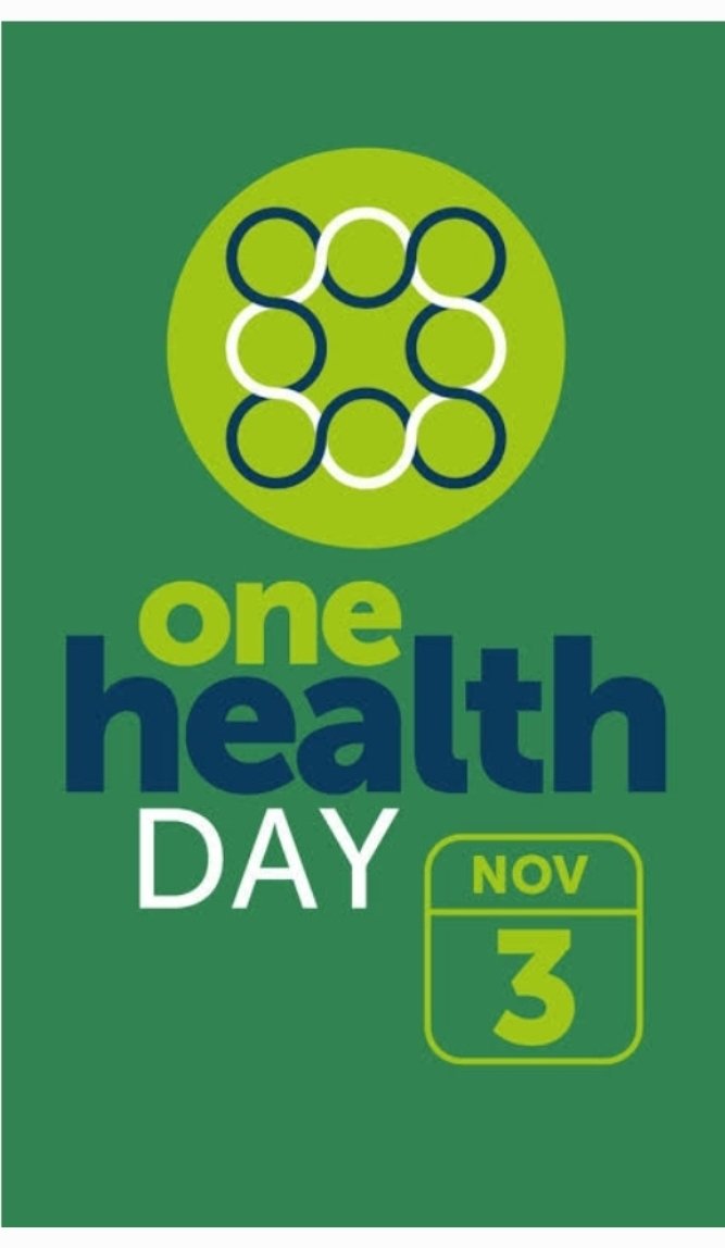 ifeoluwapoakanb's tweet photo. It's One Health Day 2023.  
This is to appreciate everyone involved in One Health optimization around the world.
#OneHealthDay 
#OneHealth 
#OneHealthApproach https://t.co/D8ENuw9lVB