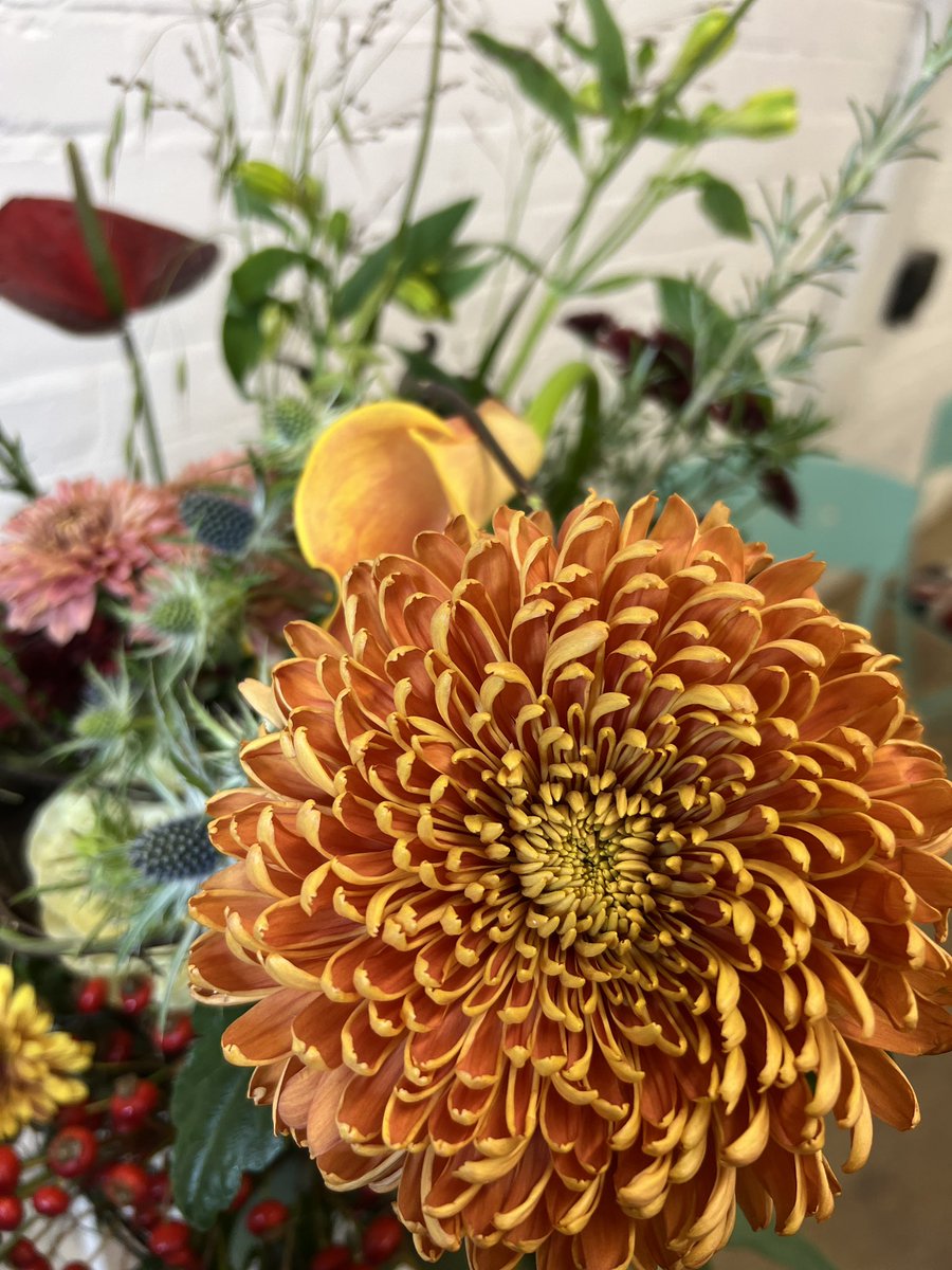 evolveflowers tweet media