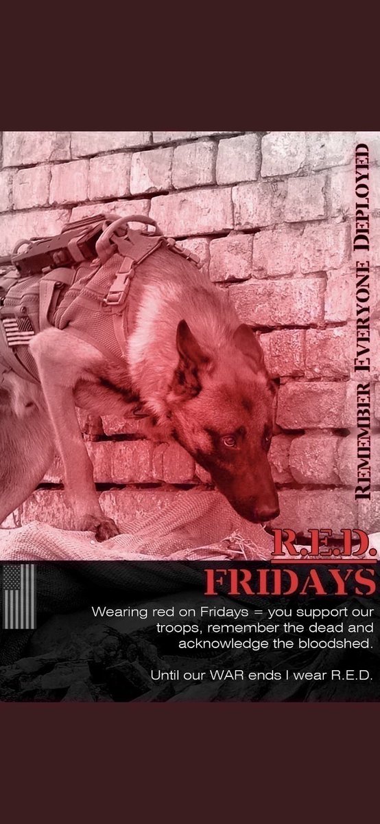 DianeEarnhardt's tweet photo. #BuddyCheck 👊🇺🇸
#BuddyChecksMatter 👊🇺🇸
#REDFriday ❤️🇺🇸❤️🇺🇸
R.E.D. Remember we have more Troops on foreign soil now. 🙏🏻🙏🏻
Remember #RepostsMatter so we can #EndVeteranSuicide 🙏🏻
Together! https://t.co/aeN6eoO0ss