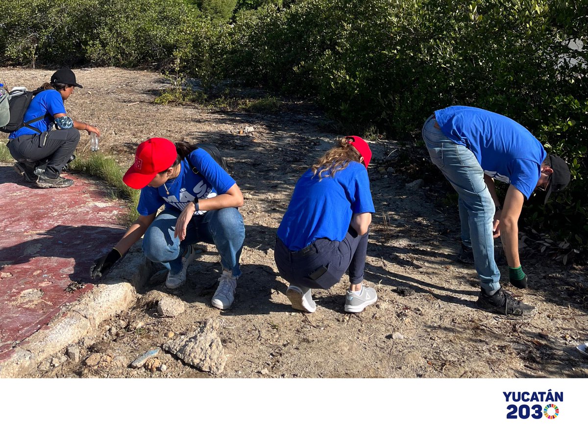 Gracias al esfuerzo de 65 voluntarios, así como de #ViveFundación y #LimpiemosYucatán, logramos recolectar un total de 223 kg en residuos en la #LimpiezaDePlayas de #Chelem, el sábado pasado. Agradecemos a las y los voluntarios su dedicación por la limpieza de nuestras playas.