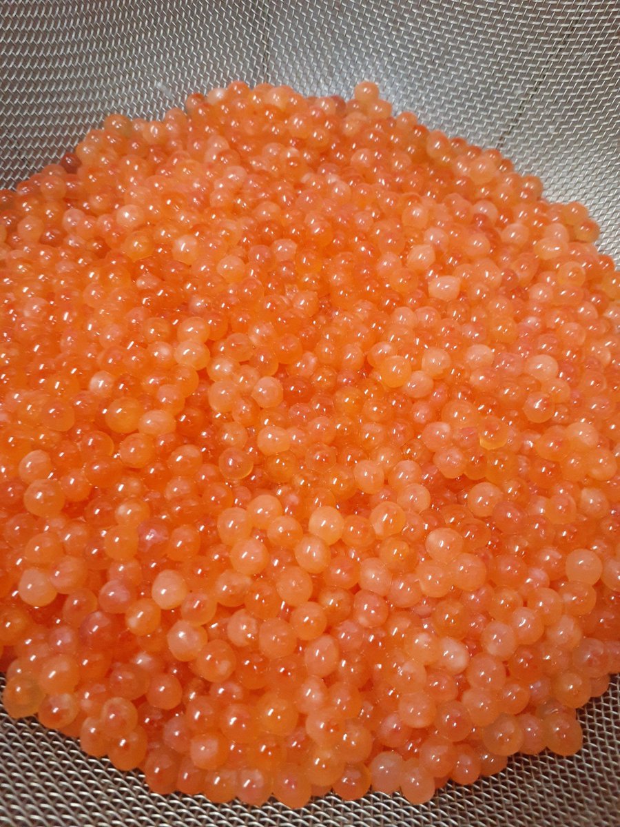 皮もだいぶ固くなってきたから今年最後のイクラ漬けかなぁ