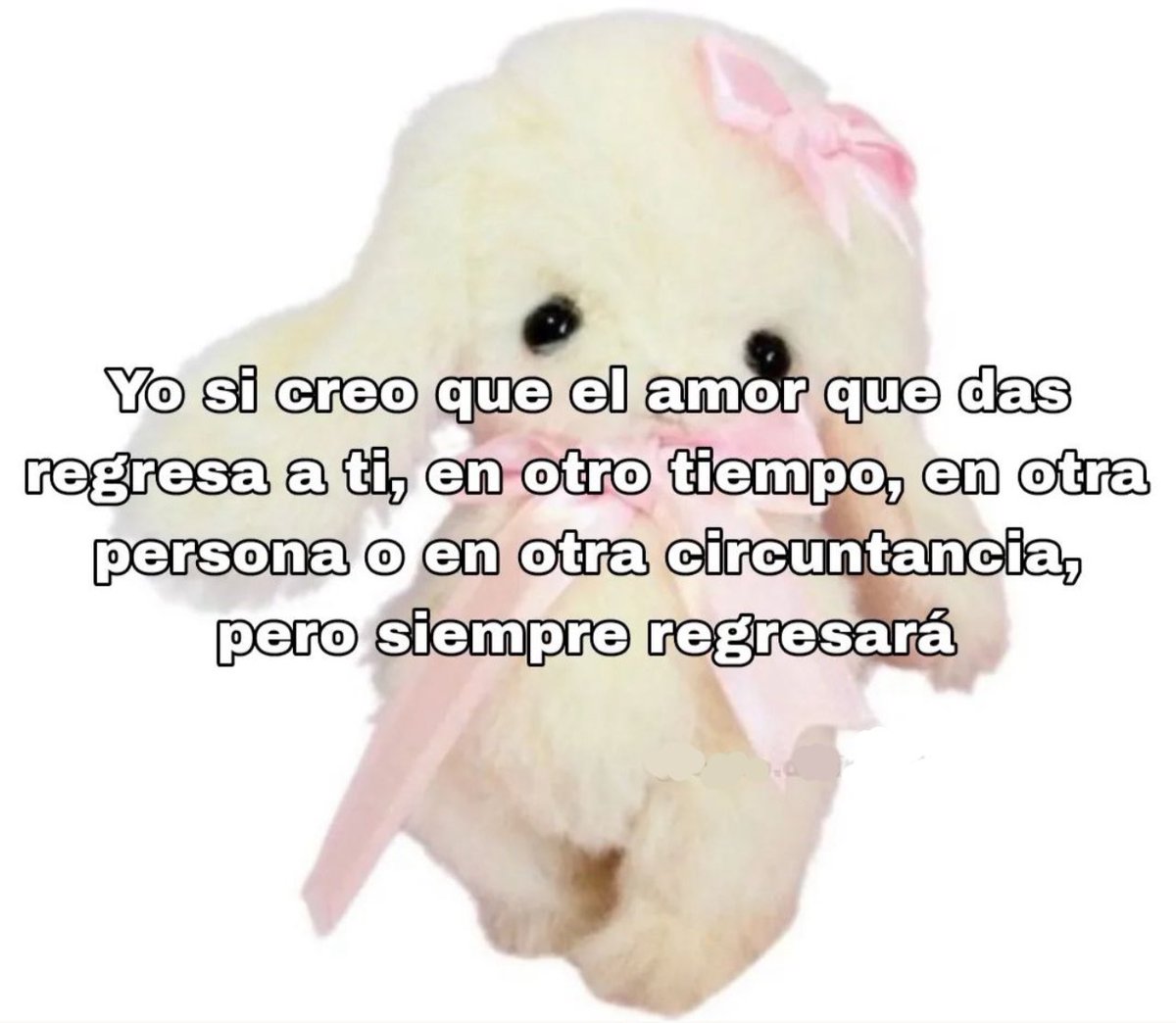 el amor siempre regresa 💞