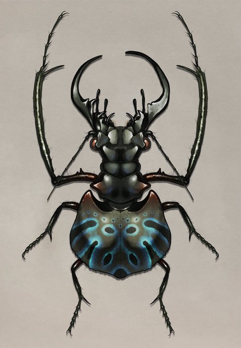 「spider」 illustration images(Latest｜RT&Fav:50)