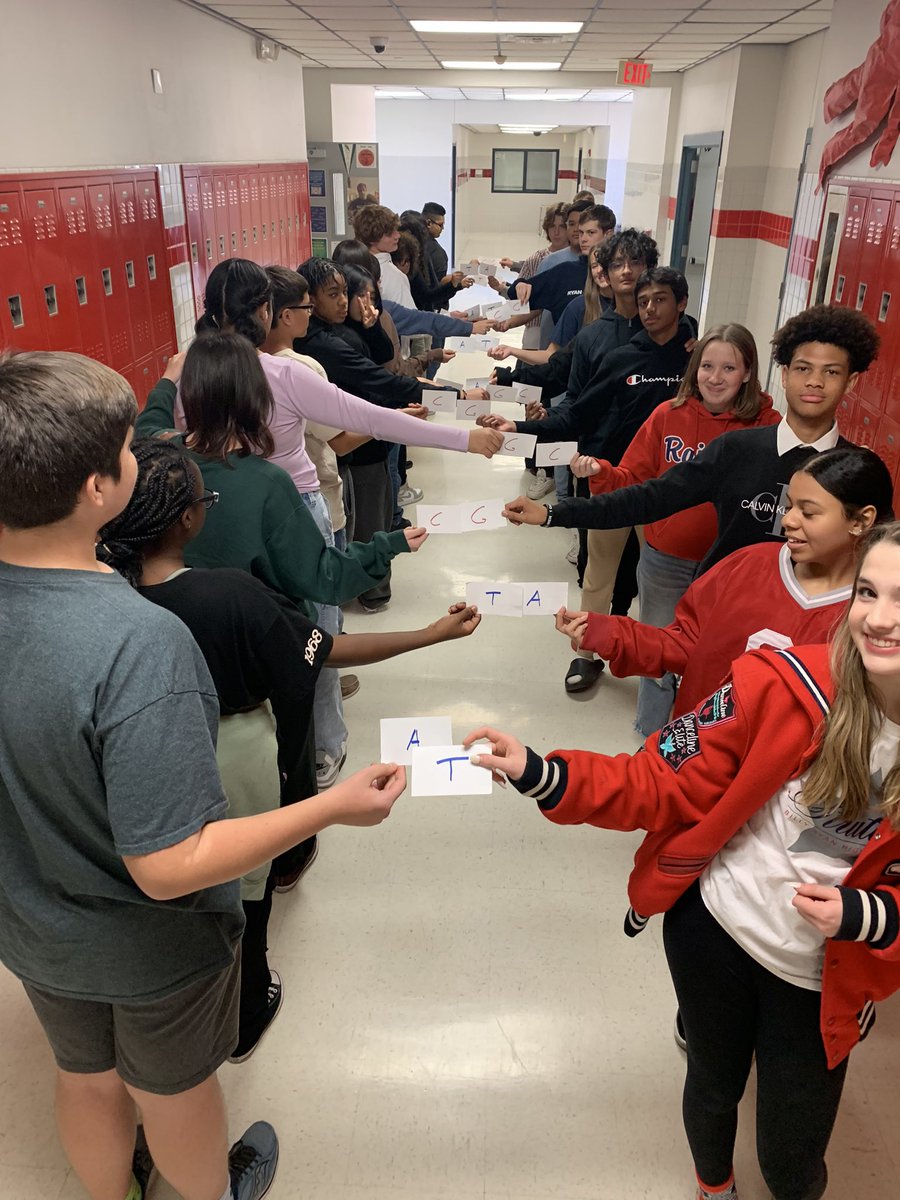 Spalding_Bio's tweet photo. Students playing the role of nucleotides and forming a strand of #DNA. Left hand on shoulder of person in front is covalent bond of the backbone. Index cards down center are base pairings. 
5’-3’ Antiparallel strands
Be it. Build it. See it. 
#RHSScience @RHSRaiders @dentonisd https://t.co/XMKUuwPr9e
