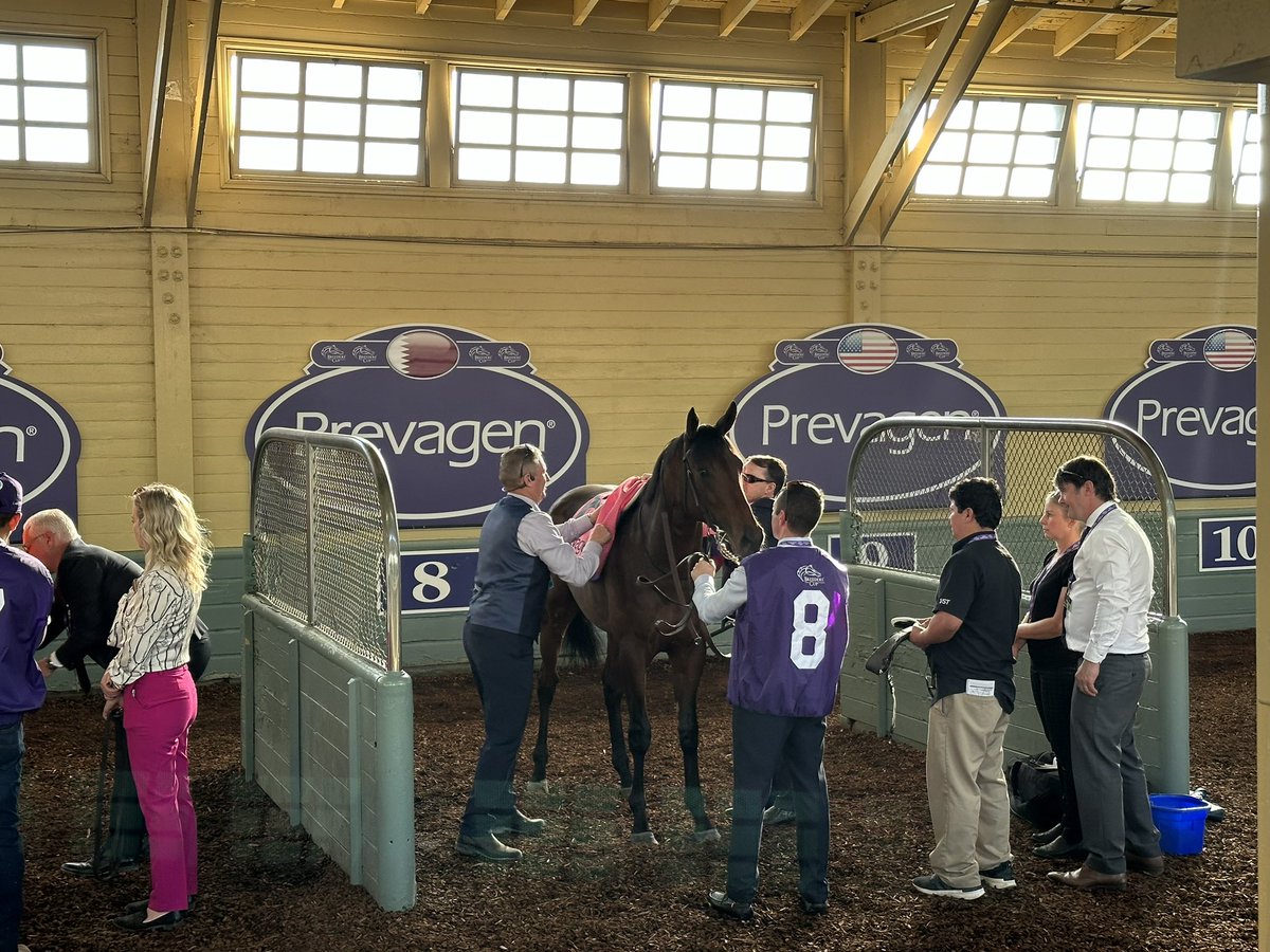 Unquestionable getting ready to roll! #BC23