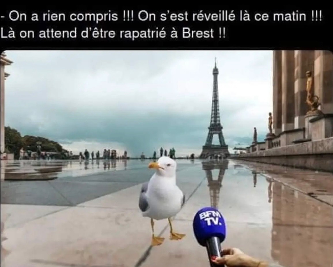 Priol Gildas tweet media