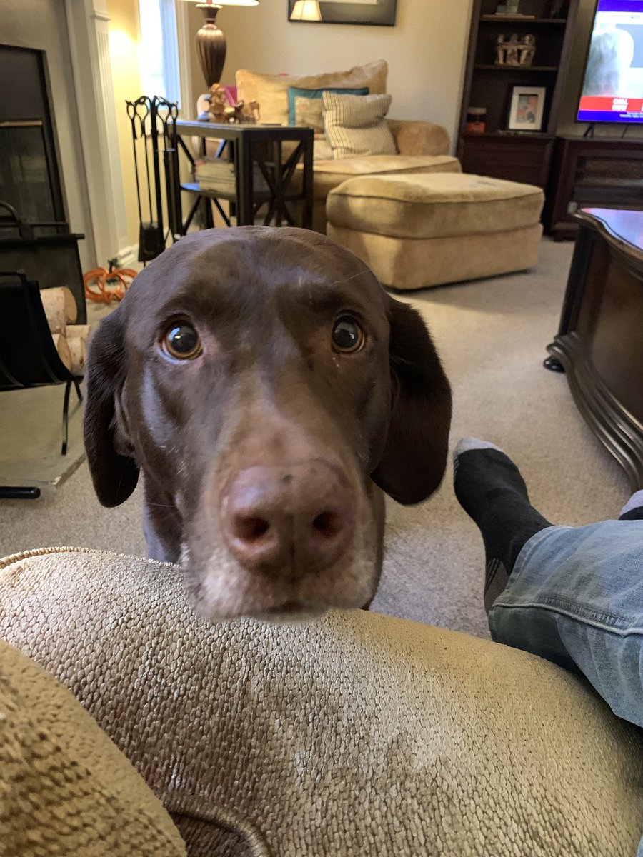 Mike Moss tweet media