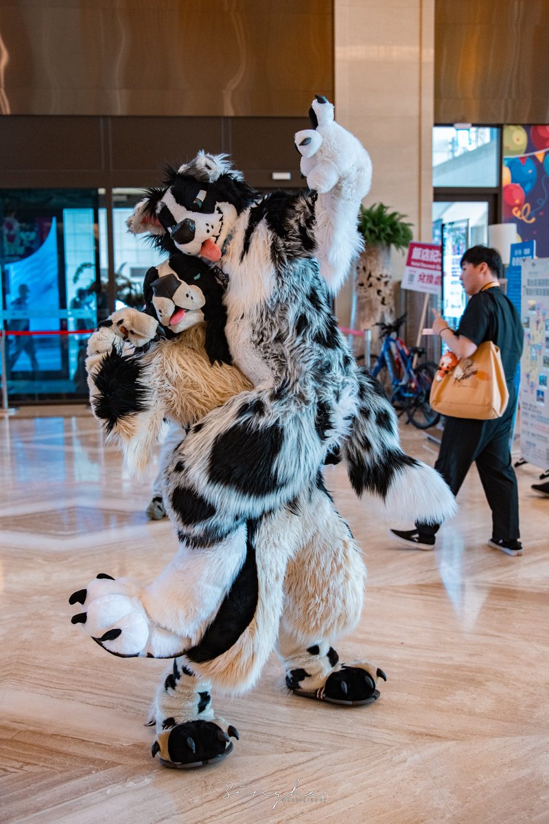 Softness 😌 tweet media