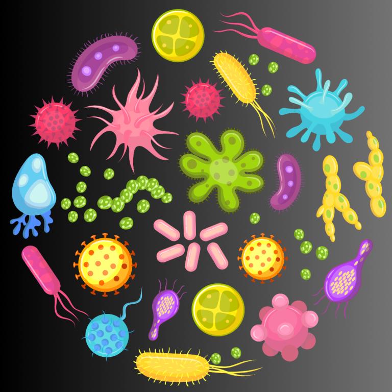 'WHO: Bangladesh eliminates visceral leishmaniasis, Maldives interrupts leprosy transmission and DPR Korea eliminates rubella' and other NTD news 
cor-ntd.org/news-stories/n…