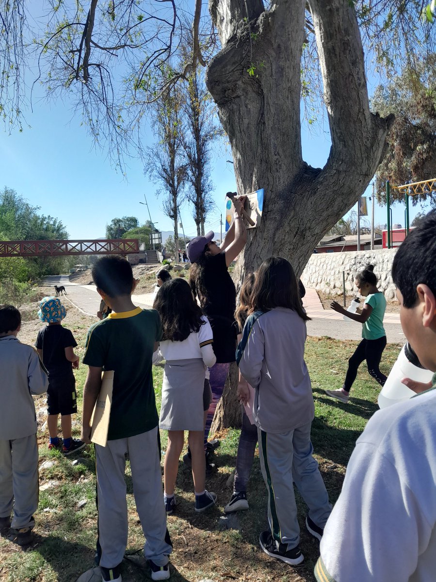 SLEPHuasco's tweet photo. 🟣| #Programa4a7 | "Mes 3R: Reducir, Reciclar y Reutilizar" ♻️
✅En el marco de nuestro convenio con @SernamEGAtacama, estudiantes realizaron provechosas salidas pedagógicas al Paseo Ribereño de la comuna con el objetivo de realizar actividades de #EducaciónAmbiental. https://t.co/hNB1LWm0Os