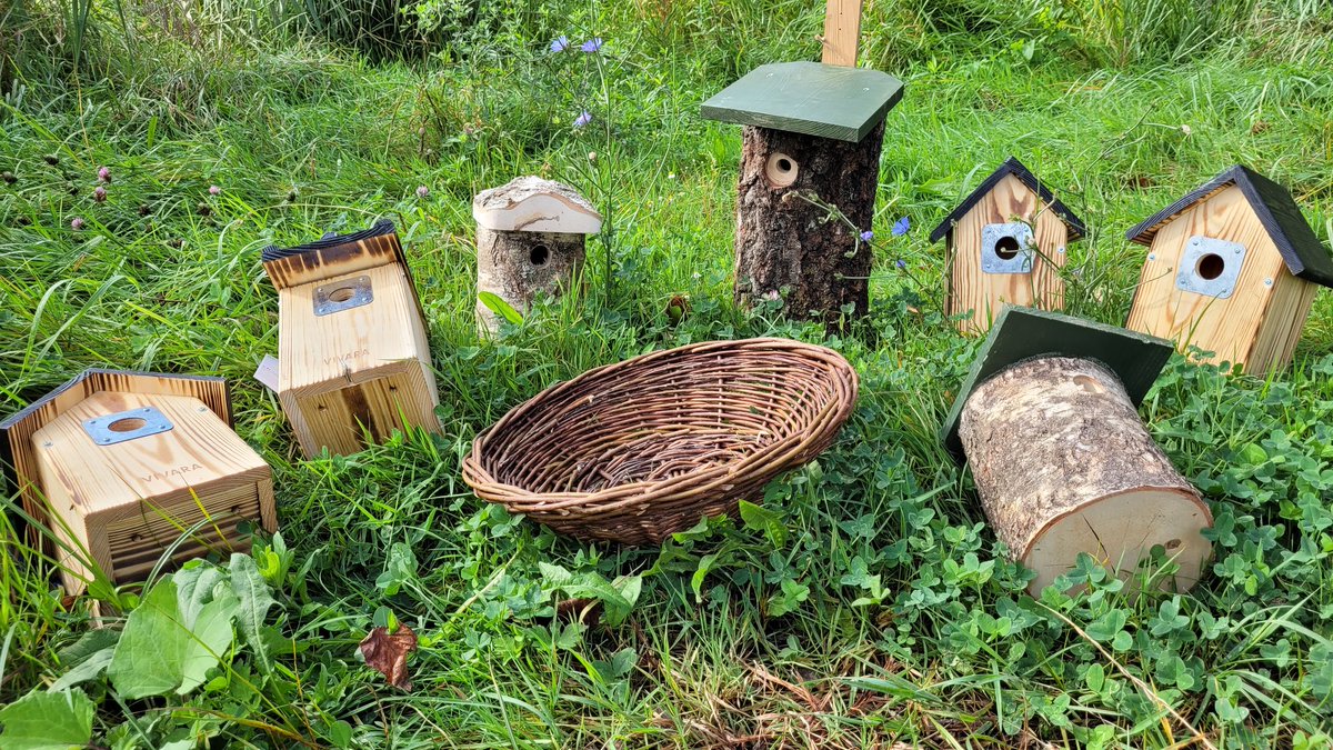 Natuurbelevings's tweet photo. Deze prachtige nestkasten krijgen morgen een plek op De Bult. Vogels gebruiken ze in de winter im te schuilen.  De nestkasten zijn mogelijkgemaakt door het #groenfonds van @StgGroenLicht https://t.co/Gc57kUTNJi