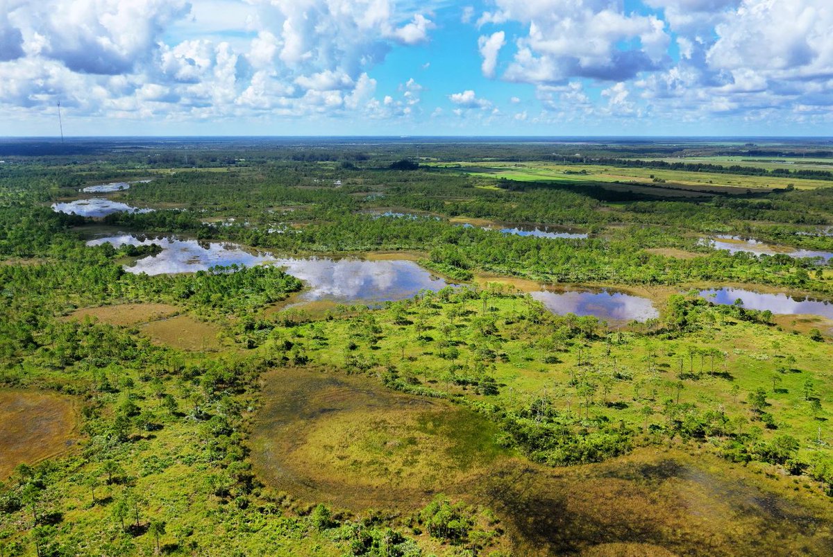 FireflyGroupPR's tweet image. A groundbreaking plan to establish a permanently protected ecological corridor in South Martin County has advanced significantly with the Conservation Fund's acquisition of a 20-acre tract in Hobe Sound. Find more about this purchase on our website: fireflyforyou.com/view-news.html…