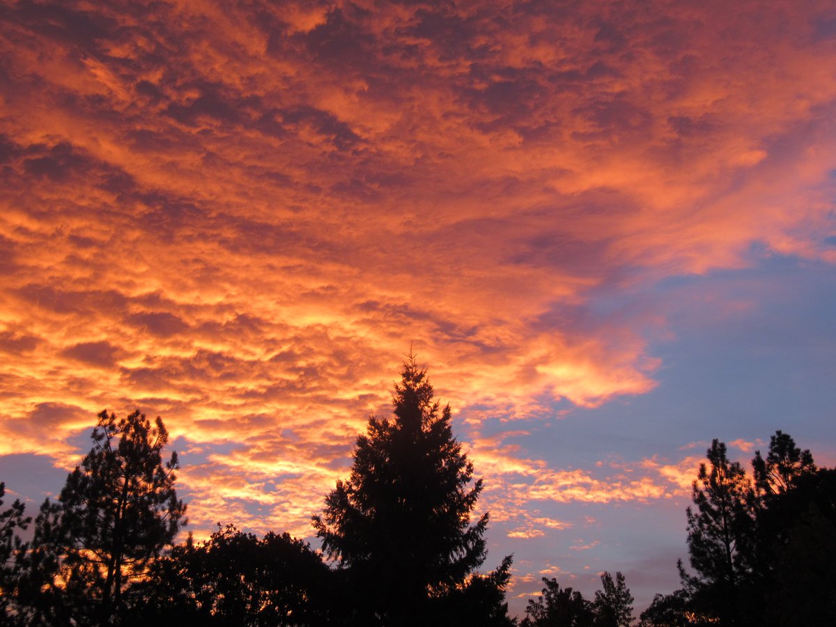 #FridayThoughts How can the sky be so peaceful and the earth so violent?